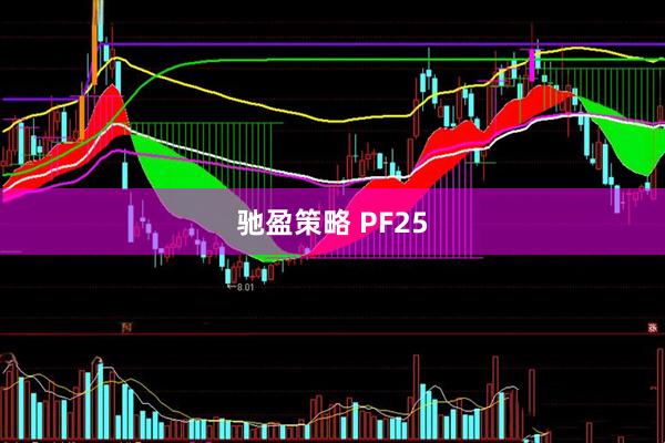 驰盈策略 PF25