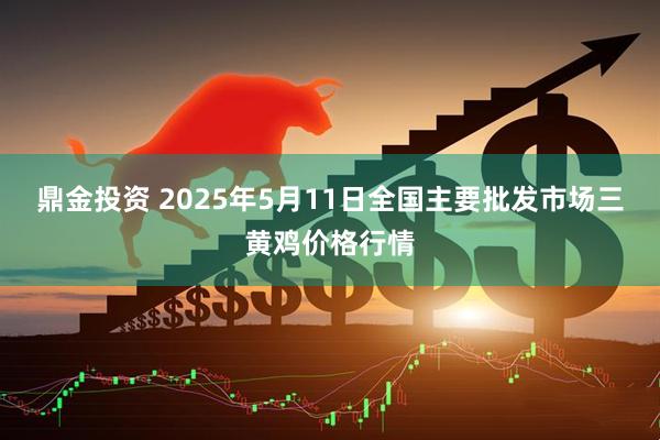 鼎金投资 2025年5月11日全国主要批发市场三黄鸡价格行情