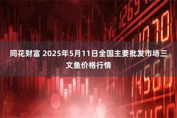 同花财富 2025年5月11日全国主要批发市场三文鱼价格行情